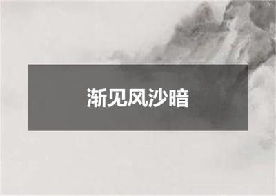 "渐见风沙暗"的全诗出处及翻译赏析