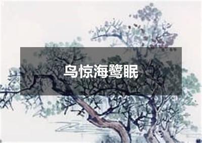"鸟惊海鹭眠"的全诗出处及翻译赏析